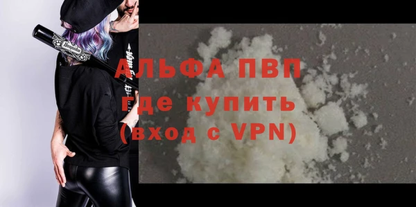 твердый Гусев