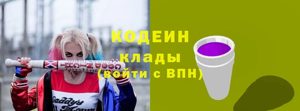 твердый Гусев