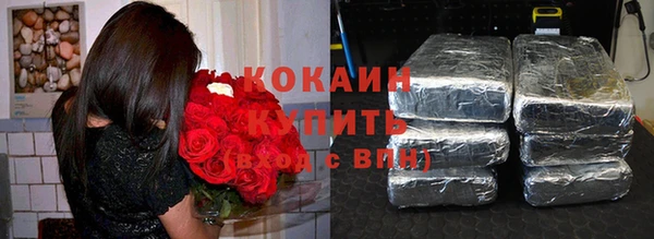 твердый Гусев